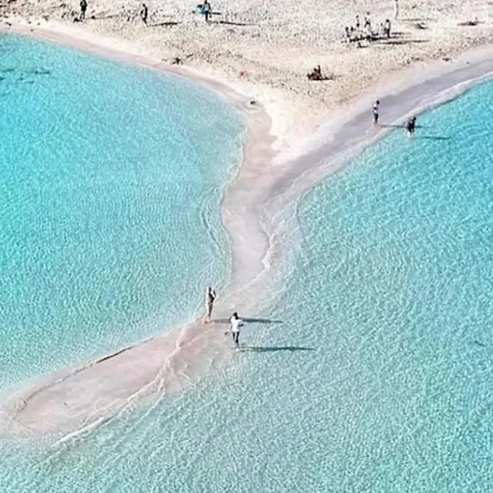 Christopher's Sandy *